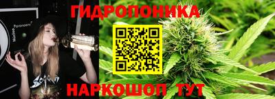 гашик Камышлов