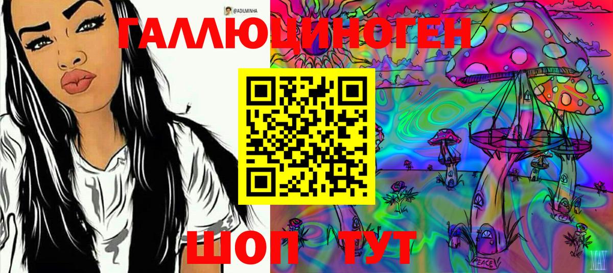Кузнецк  Галлюциногенные грибы Cubensis  Вход с VPN 
